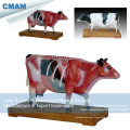A08(12007) Veterinarian's Cattle Anatomical Cow Acupuncture Models 12007